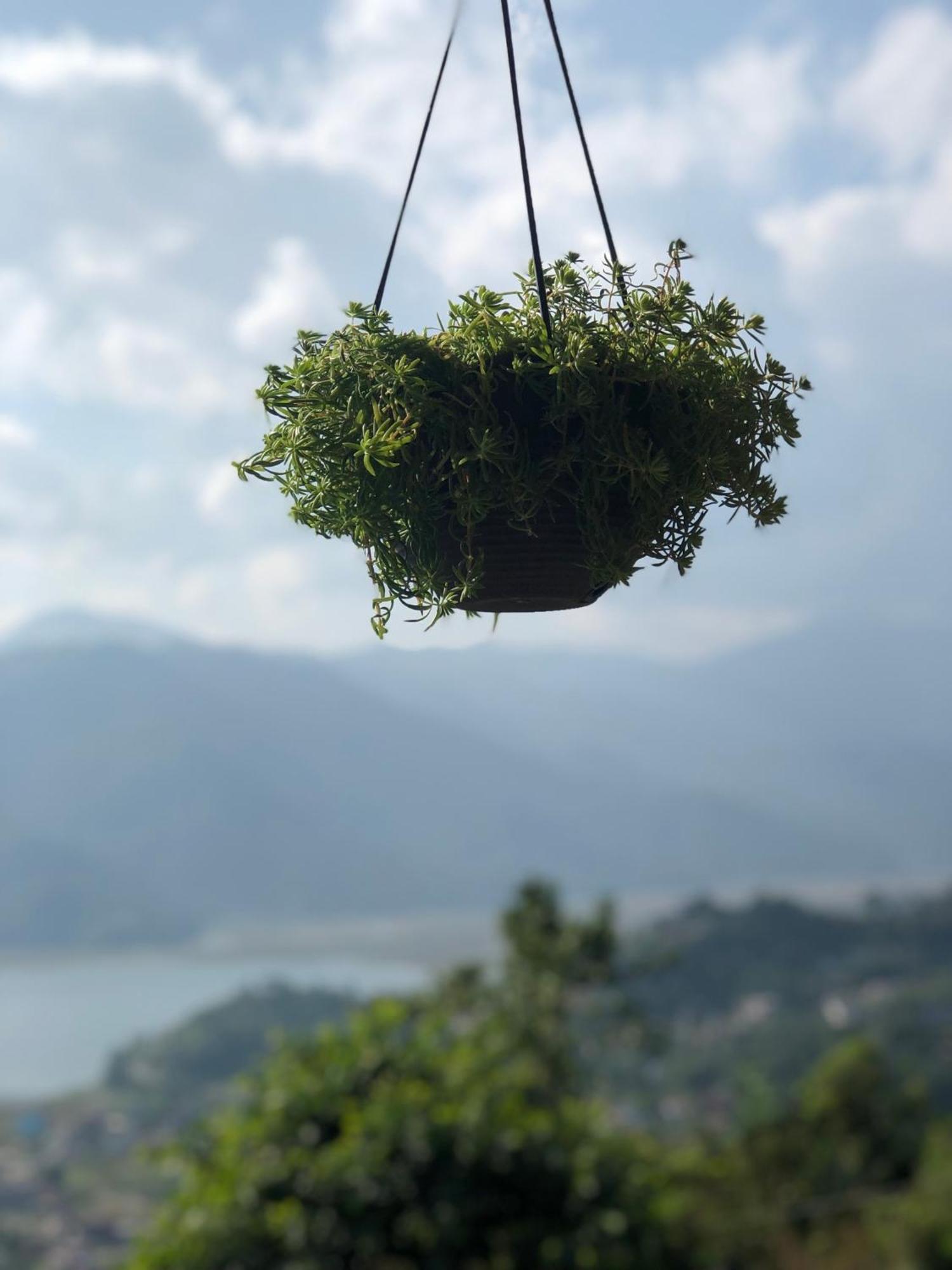 Kāskī Into The Wild Pokhara 빌라 외부 사진