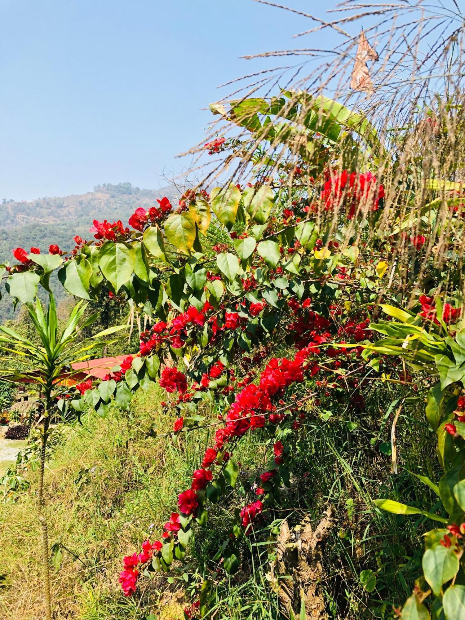 Kāskī Into The Wild Pokhara 빌라 외부 사진